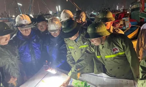 Tâm bão cách Đà Nẵng 115 km